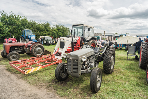 Nantwich, Cheshire, England, July 26th 2023. Vintage gray Massey Ferguson tractor at a farm show display, agriculture editorial illustration.