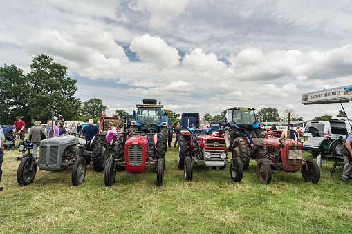 Nantwich, Cheshire, England, July 26th 2023. A row of vintage Massey Ferguson tractors at an event display, agriculture and leisure illustration.