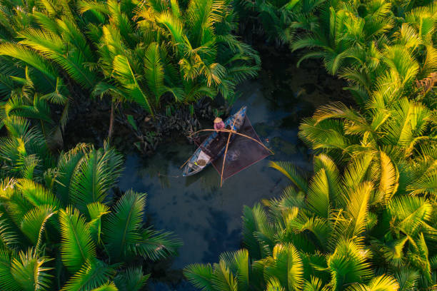 istock Catching fish in nipa palm jungle 1623234626