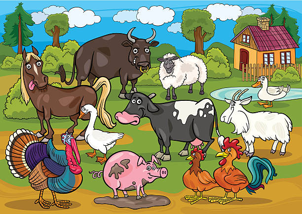 farm animals country scene cartoon illustration Cartoon Illustration of Country Scene with Farm Animals Livestock Big Group mud hen stock illustrations