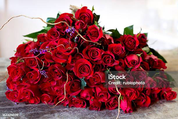 Cuatro Docena De Rosas Rojas Foto de stock y más banco de imágenes de Abundancia - Abundancia, Amor - Sentimiento, Arreglo