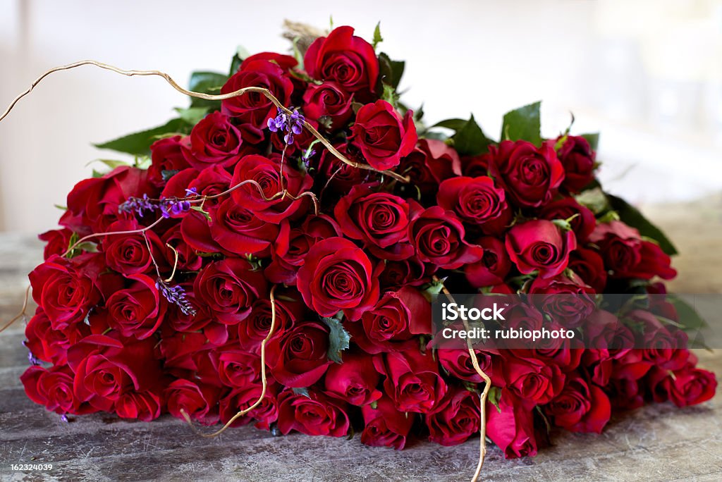 Quatro doze Red Roses (expressão inglesa) - Royalty-free Abundância Foto de stock