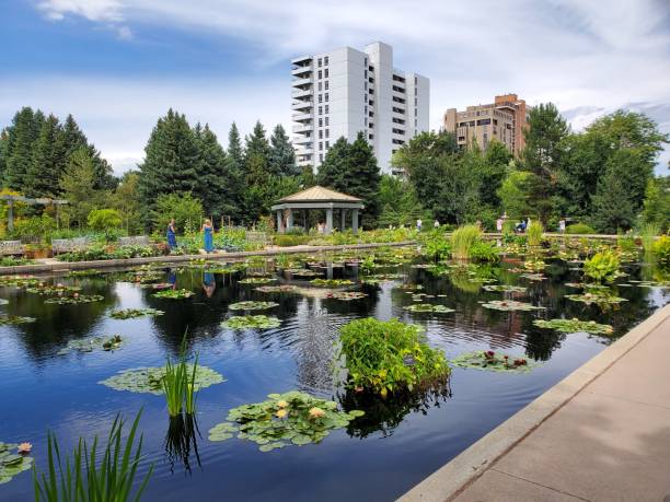 Nature Scenery, very beautiful with sky scrapers poking through the trees.