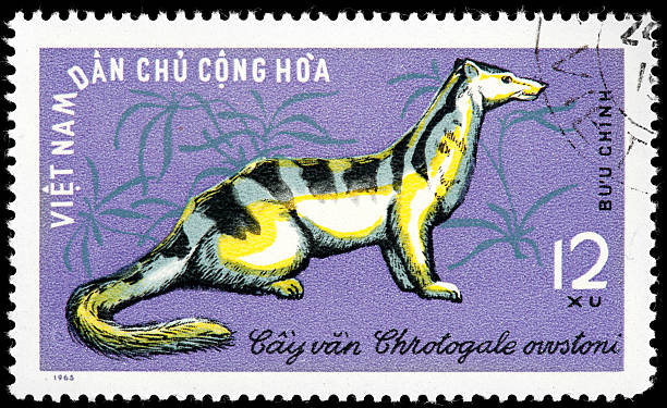 istock Endangered Animal from Vietnam Postage Stamp 162327025