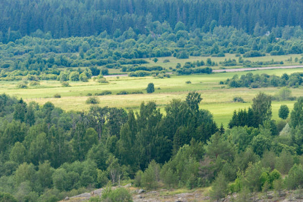 istock Forests and meadows of Karelia. 1623288318