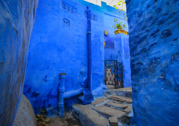istock Blue houses in Jodhpur, India 1623290450