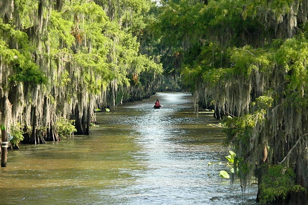 istock Jet-skiing in swamp 162329859