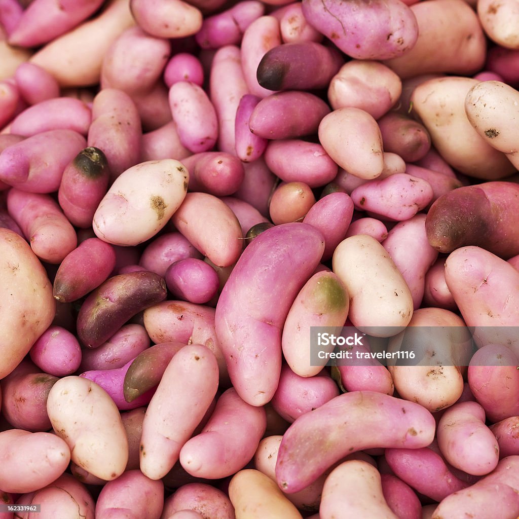 Batatas sul-americano - Foto de stock de Batata Peruana royalty-free