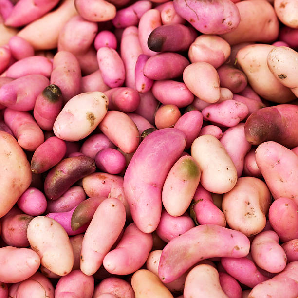 batatas sul-americano - red potato raw potato market red - fotografias e filmes do acervo