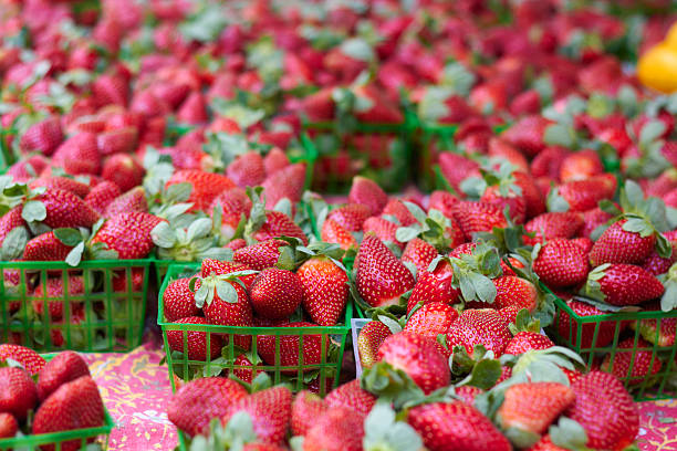 freschi e succulenti fragole per la vendita - for sale industry farmers market market stall foto e immagini stock