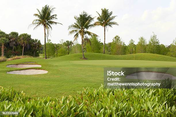 Photo libre de droit de Parcours De Golf Avec Ses Palmiers Et Des Bunkers banque d'images et plus d'images libres de droit de Floride - Etats-Unis - Floride - Etats-Unis, Parcours de golf, Golf