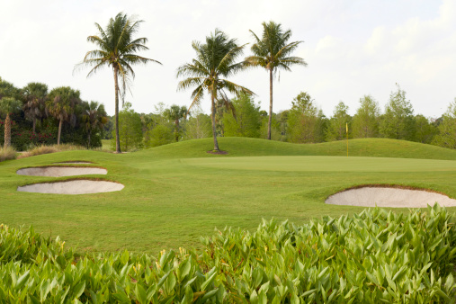 Lanscaped golf course with palm trees and sand traps in Delray, Florida. Horizontal shot.