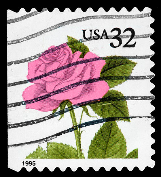 istock Flower Vintage Postage Stamp 162334628