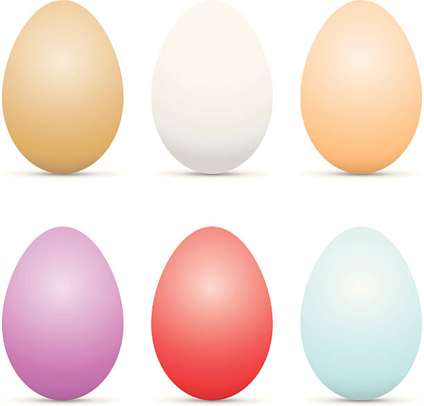 Colored Easter Eggs vector art illustration