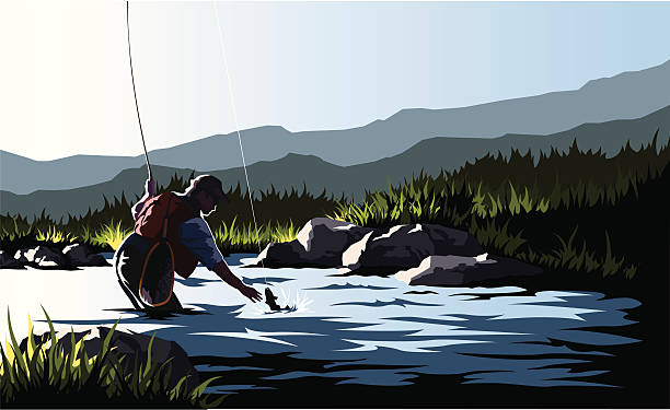 fisherman Stock illustration of a fly fisherman catching a fish on the river. fly fishing illustrations stock illustrations
