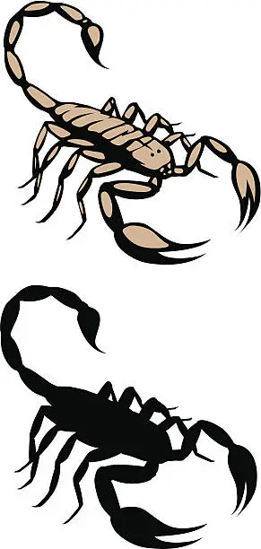 Vector illustration of Scorpion