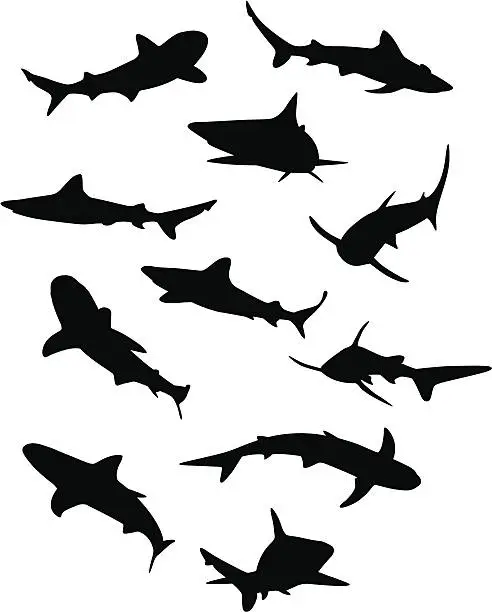 Vector illustration of Sharks