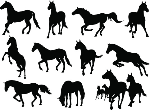 A comprehensive collection of horse illustrations. This stock illustration set includes horses running, walking, jumping and standing. Enjoy!