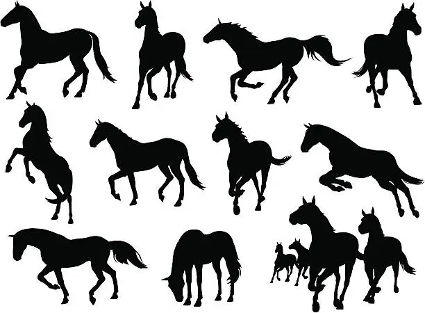 Vector illustration of A display of horse icons in different positions of running