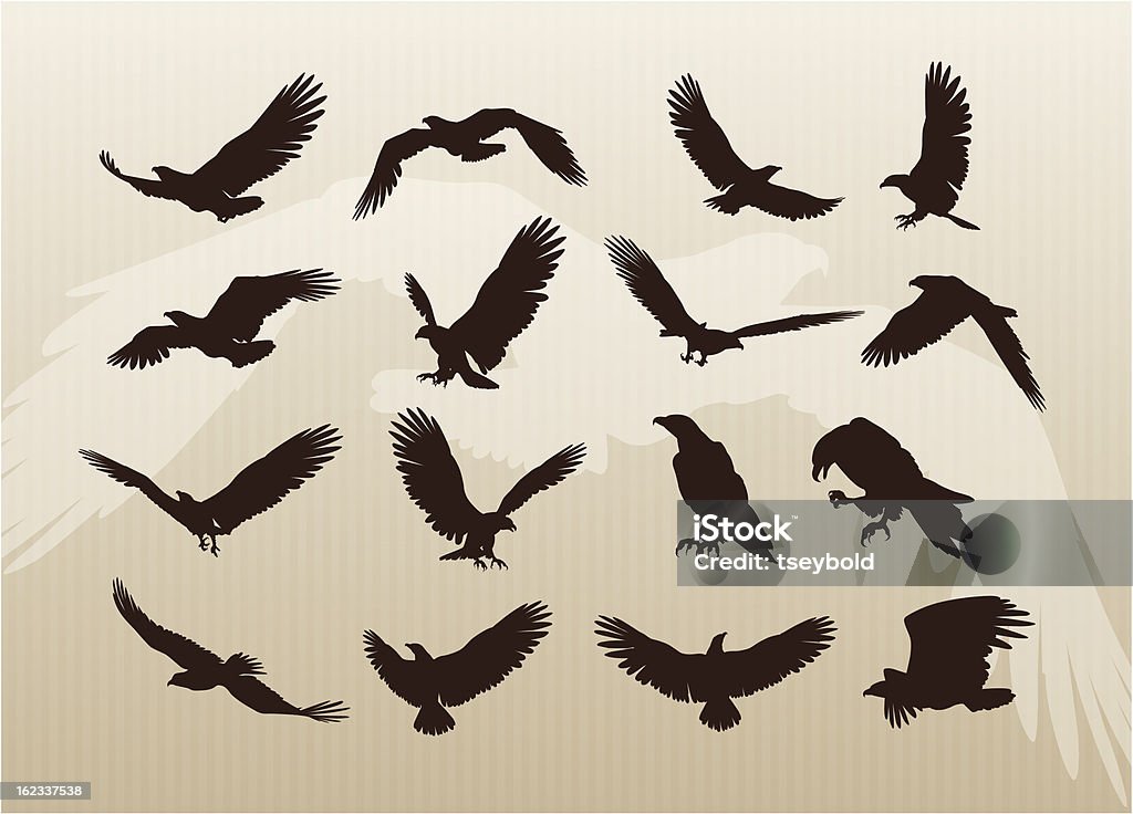Sammlung von Eagles - Lizenzfrei Adler Vektorgrafik