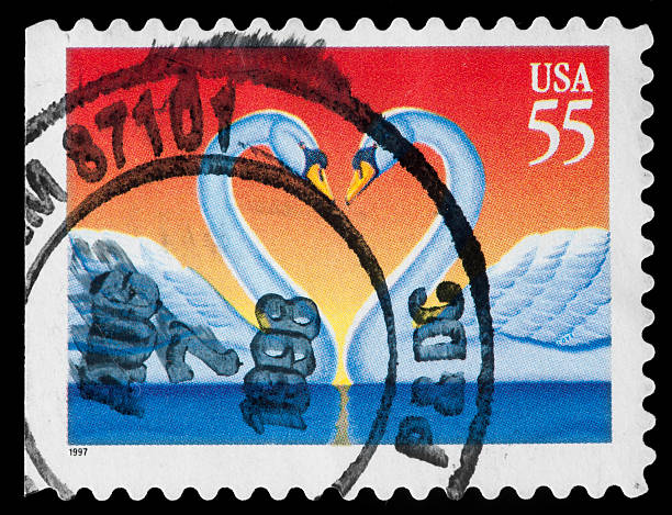 istock Swan Birds Vintage Postage Stamp 162338104