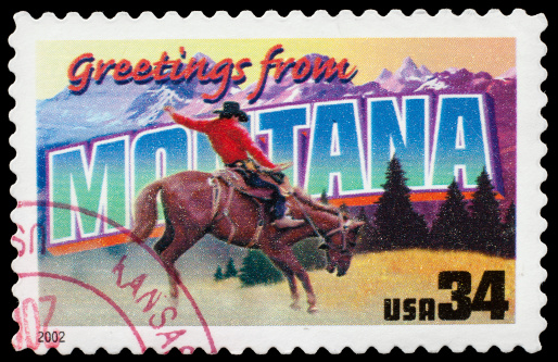 Montana State Postage Stamp \