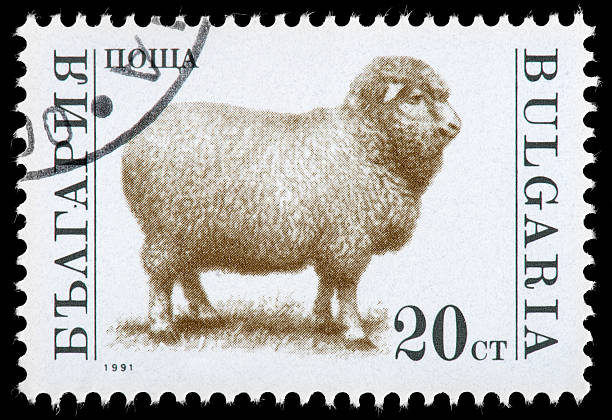 istock Vintage Animal Postage Stamp 162339729