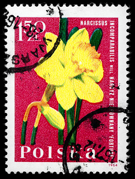 istock Flower Vintage Postage Stamp 162339997