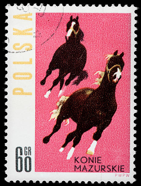 istock Horses, Vintage Postage Stamp 162340019