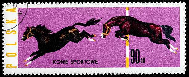istock Horses, Vintage Postage Stamp 162340025