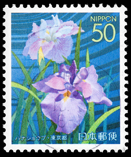 istock Beautiful Pastel Flowers on Japanese Vintage Postage Stamp 162340657