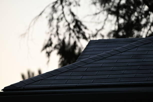istock Morning frost on a roof. 1623433386