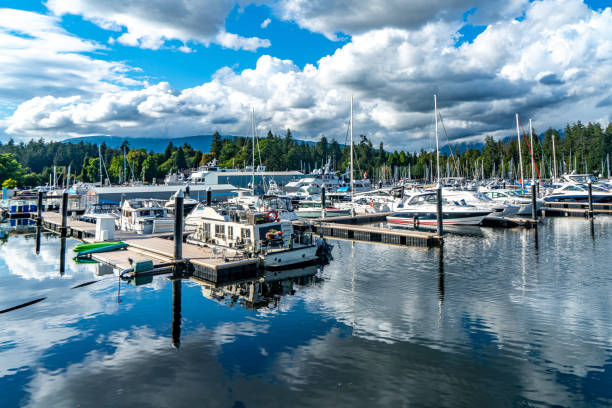 istock The view of Devonian Harbour Park, Vancouver, Canada 1623441371