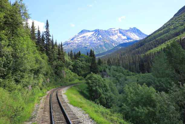 istock Scenic View of Alaska 1623451506