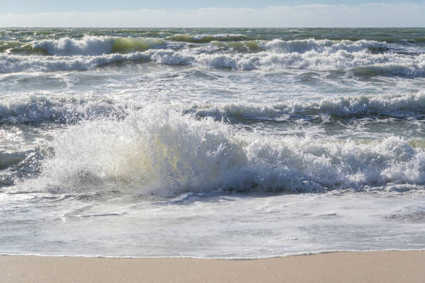 istock Dutch North Sea coast on a stormy day 1623474180