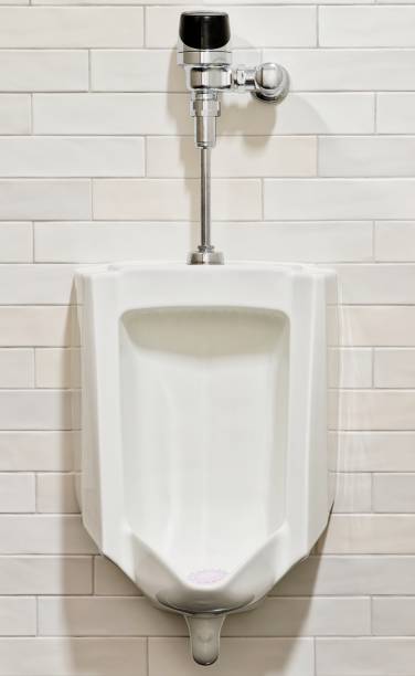 istock Single sensor operated modern urinal in a men's public restroom. 1623538070