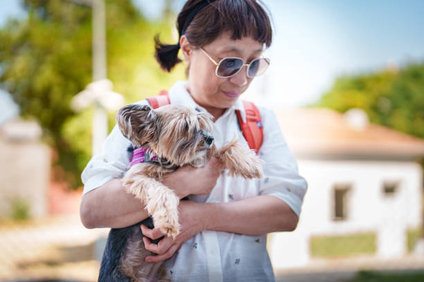 A Day In Life Series of the Korean Senior Woman in Turkey
