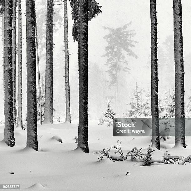 Spruce Tree Forest In Schneewetter Stockfoto und mehr Bilder von Abgeschiedenheit - Abgeschiedenheit, Baum, Bildkomposition und Technik