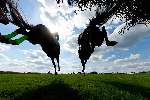 A low angle view of horses landing after jumping a hurdle during a steeplechase horse race.