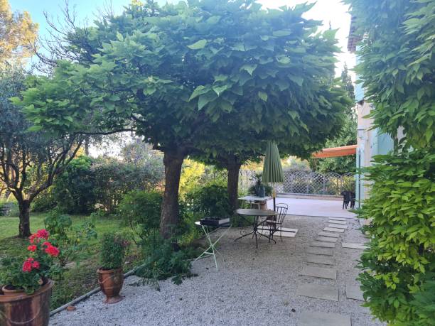 istock French villa, gentle sun 1623581820