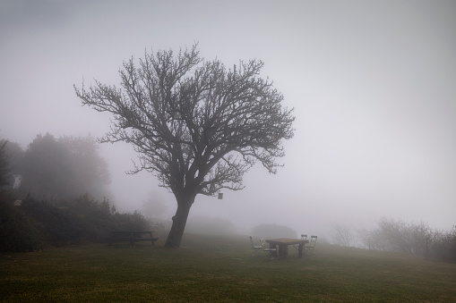 the beautiful tavertet mountain landscape covered in fog, catalunya, spain