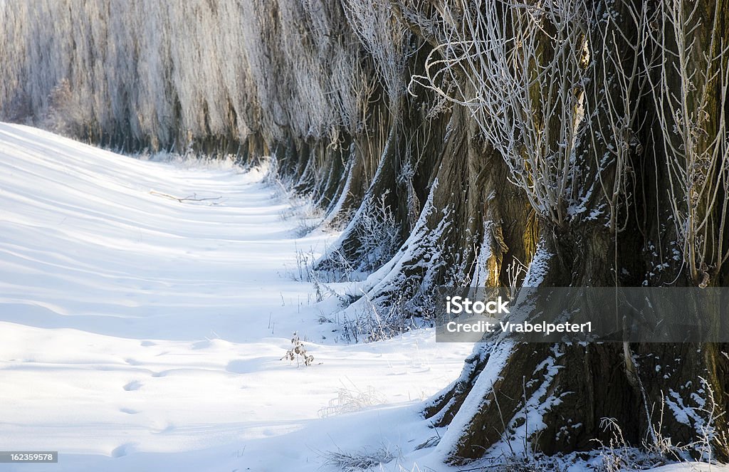 Paisaje de invierno - Foto de stock de Aire libre libre de derechos