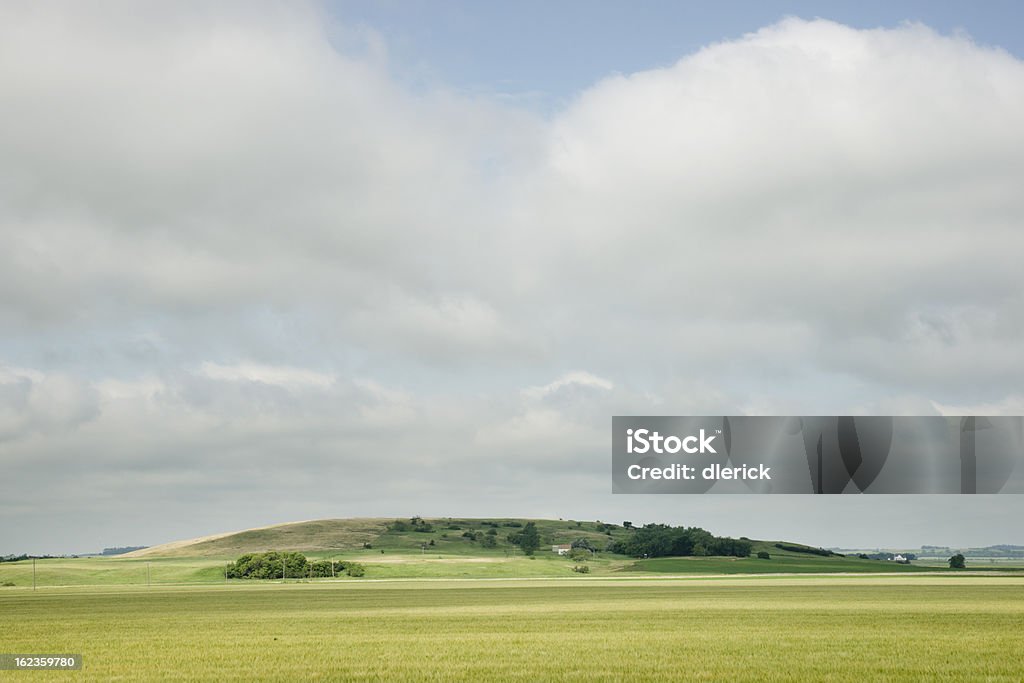 Prairie paisagem de verão - Foto de stock de Agricultura royalty-free