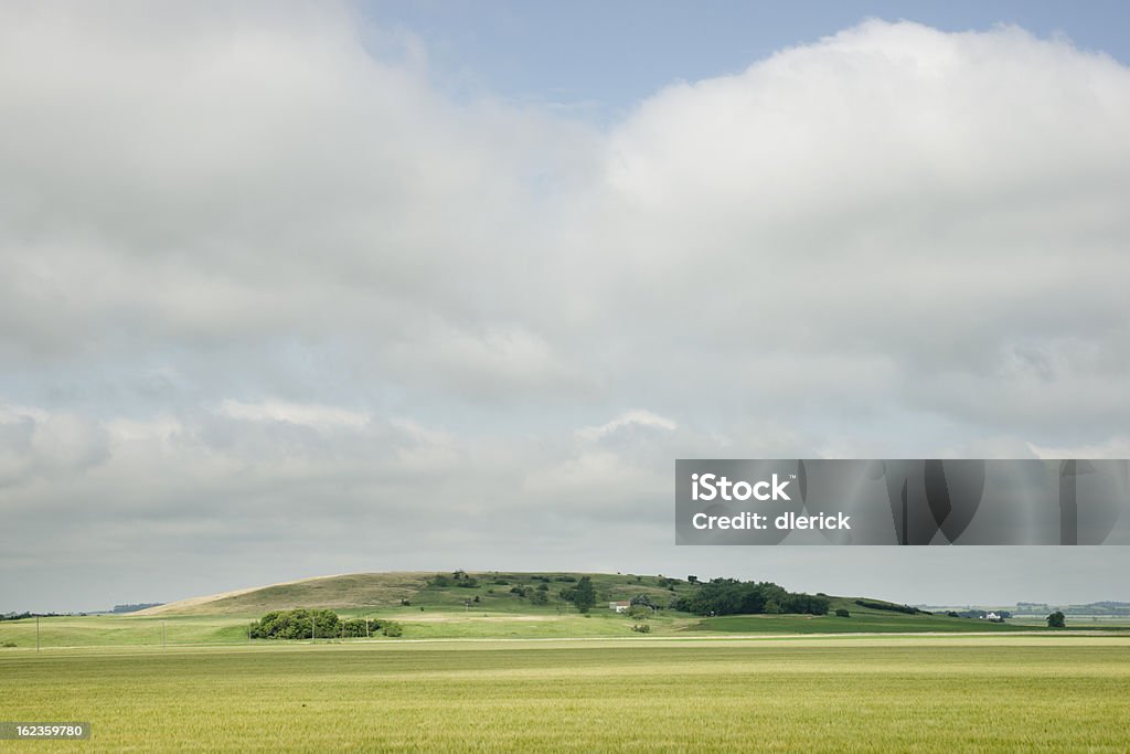 Летний пейзаж Prairie - Стоковые фото Без людей роялти-фри