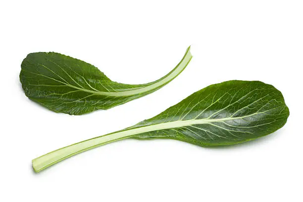 Fresh green Komatsuna leaves on white background..