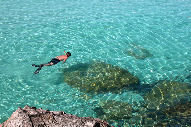 istock Man snorkeling in crystal turquoise water. 162360381