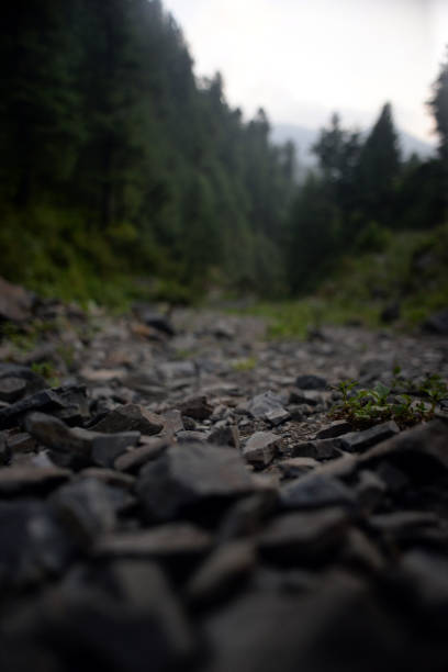 istock waterfall, forest and off road in nathiagali kpk abbottabad 1623608734