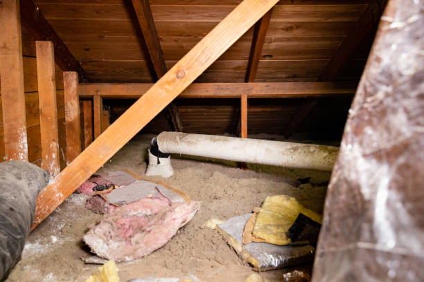 istock Asbestos Boot and Pipe in a Dirty Attic. 1623620261