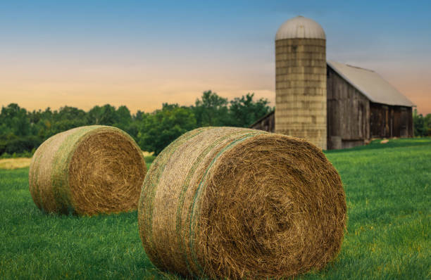 istock Bales of hay in Vermont 1623648372