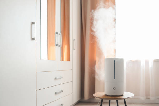 istock Modern air humidifier on table in living room. Space for text 1623648960